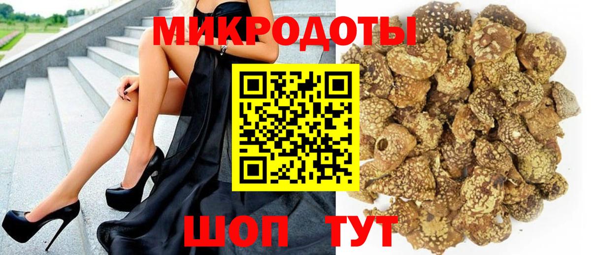 Галлюциногенные грибы Psilocybe Сергиев Посад